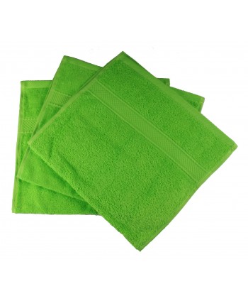 3 invités 30 x 50 cm vert pomme 500 gr/m²